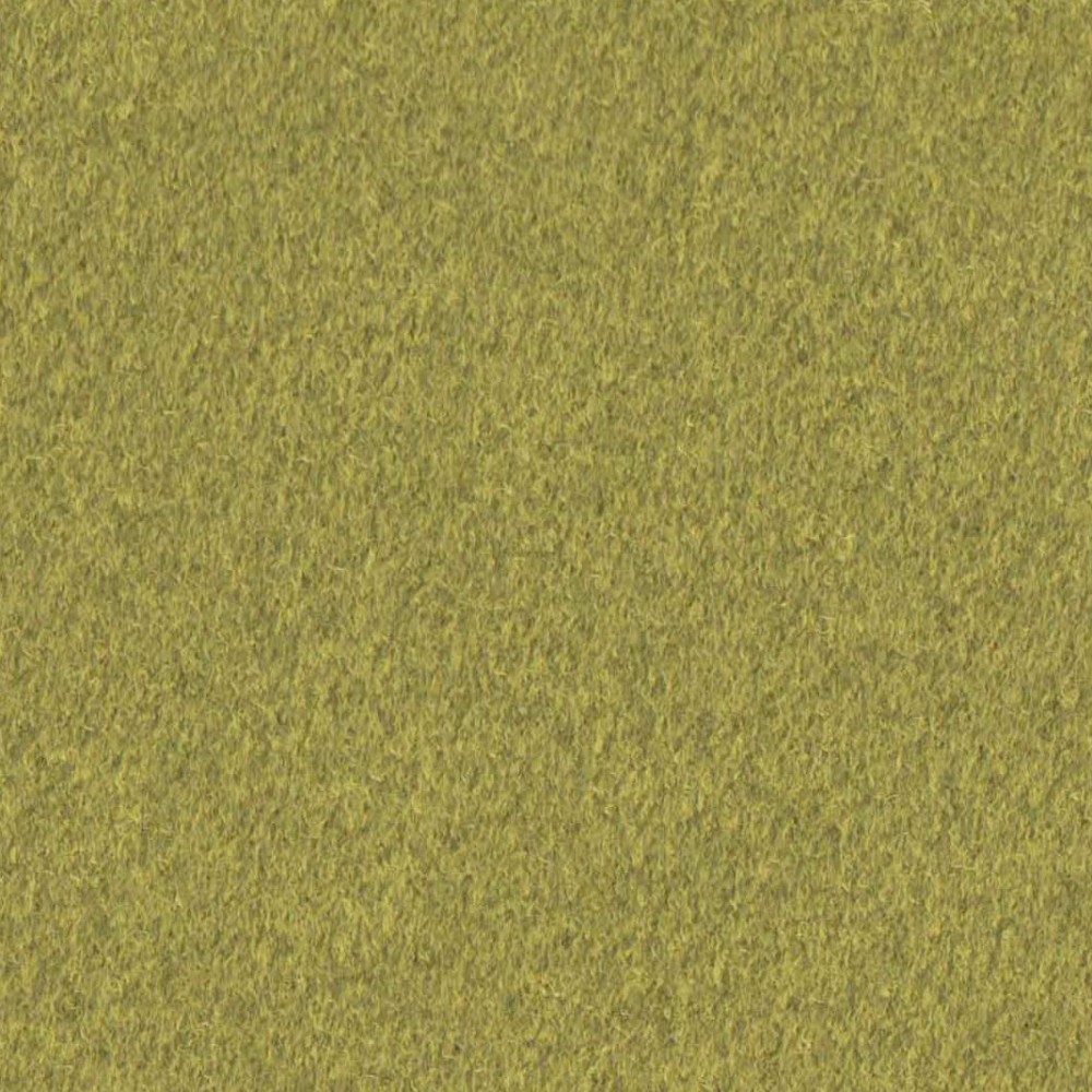 Cashmir Citrus