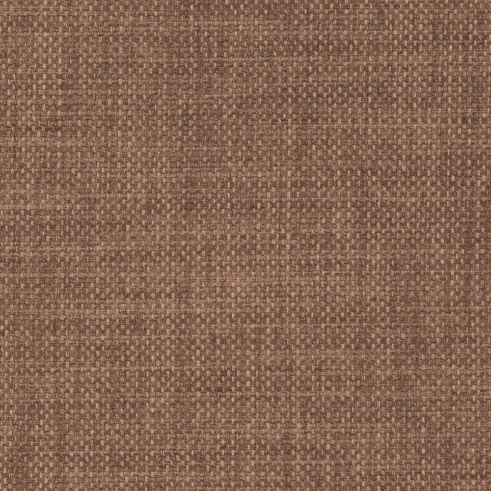 Linetta Nutmeg