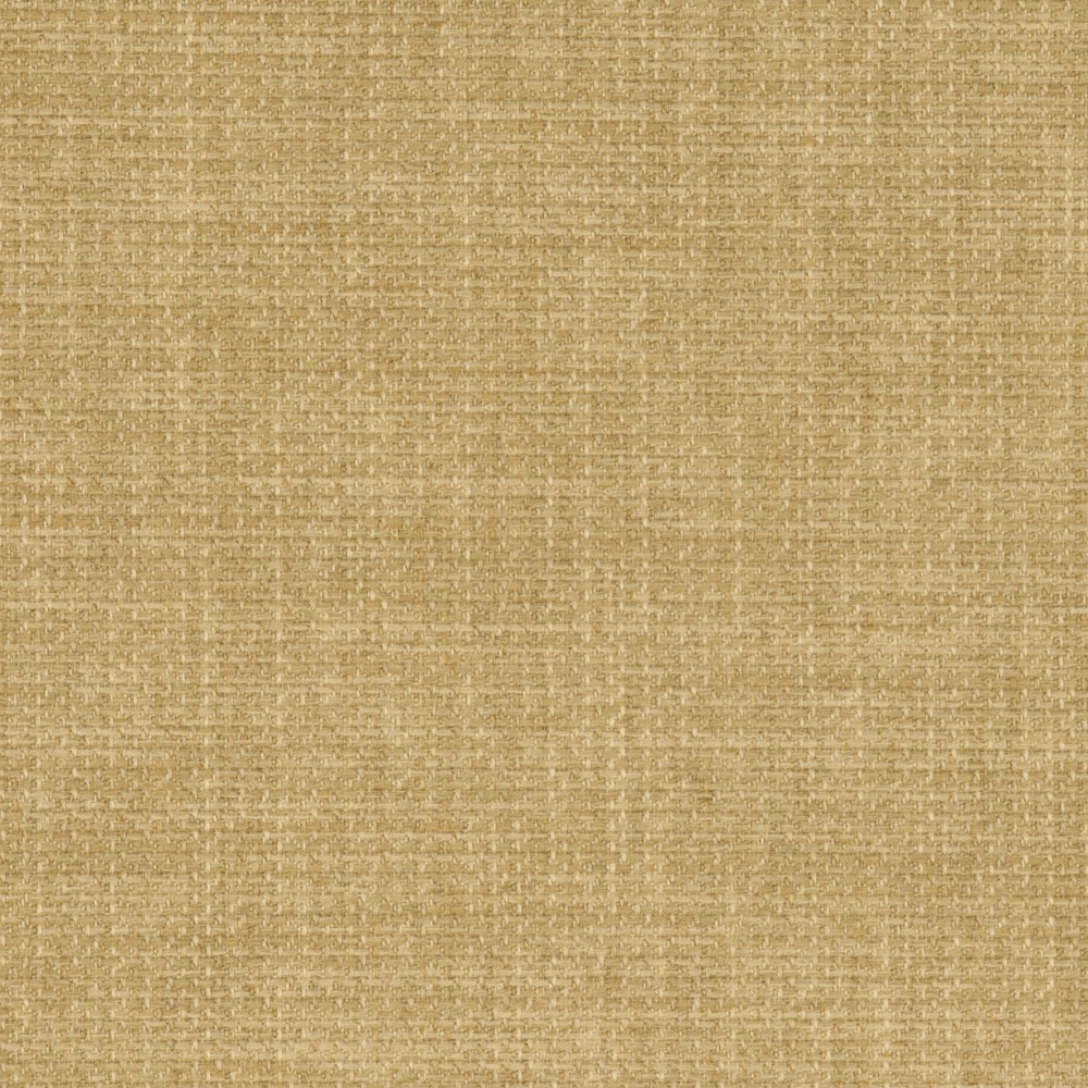 Linetta Olive