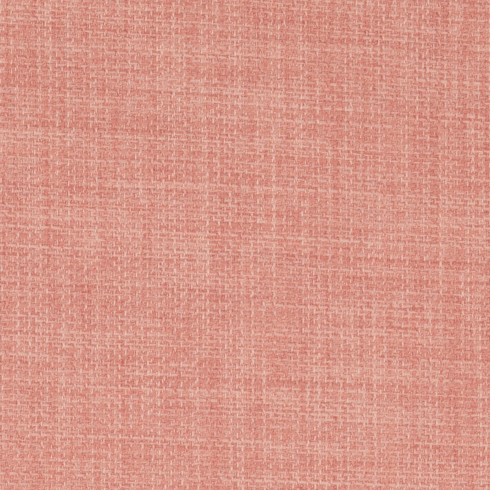 Linetta Salmon