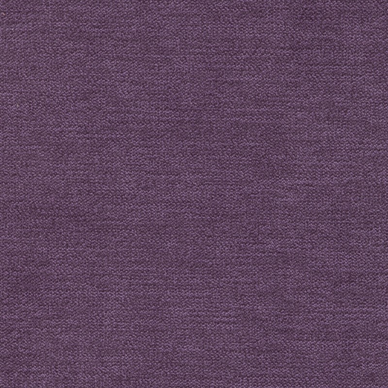 Sark Purple
