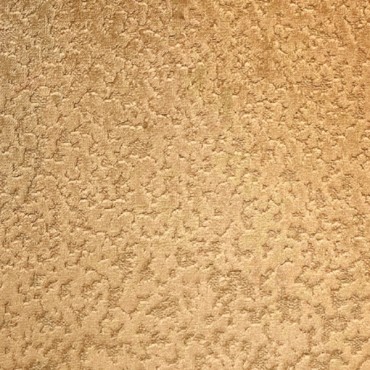 Wilson Fusion Bronze