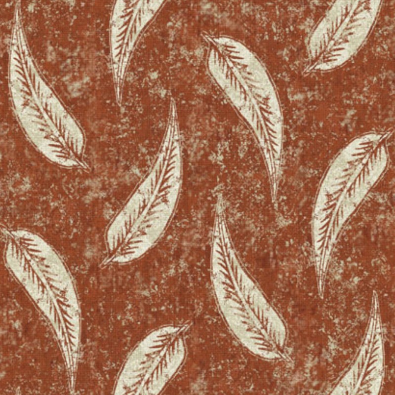 Gina Colour 11