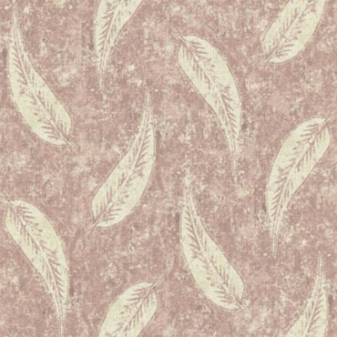 Gina Colour 9