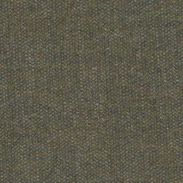Chattox Plain Spruce