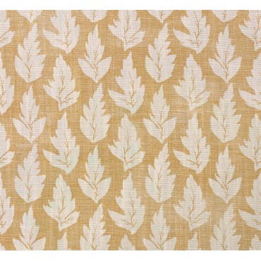 Ferndown Colour 6