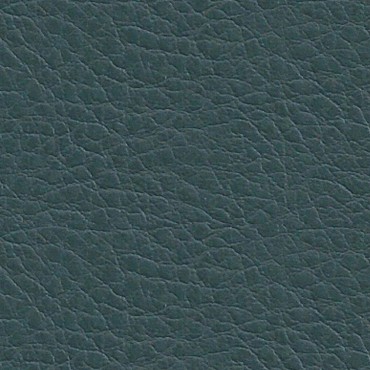 Manhattan Plain Forrest