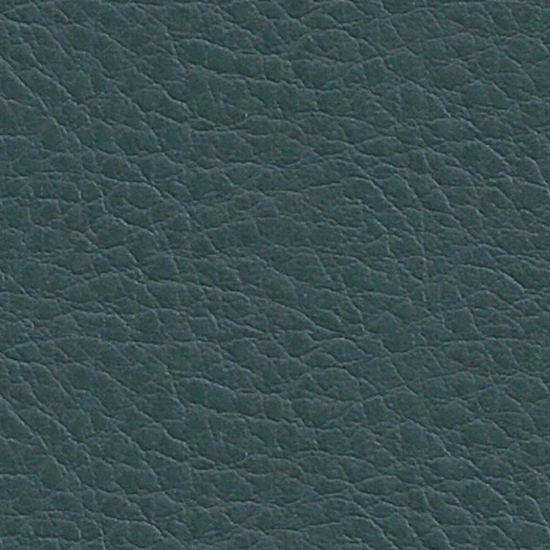 Manhattan Plain Forrest