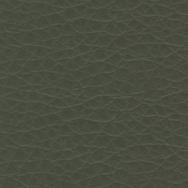 Manhattan Plain Mushroom