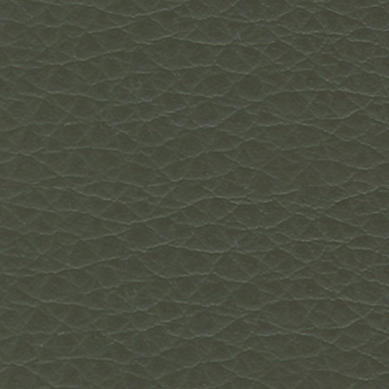 Manhattan Plain Mushroom