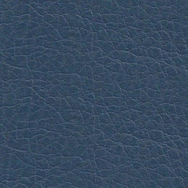 Manhattan Plain Navy