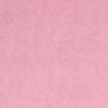 Snug Blush