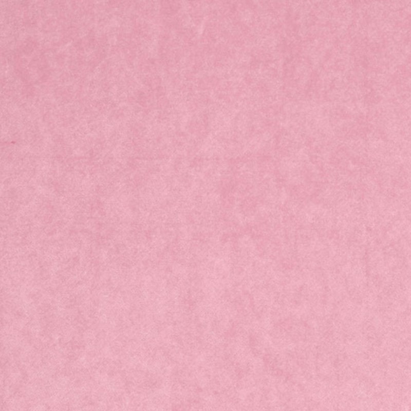 Snug Blush