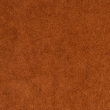 Snug Burnt Orange