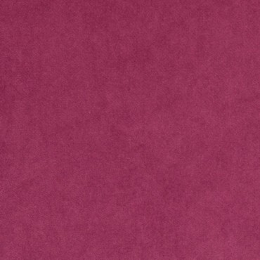 Snug Fuchsia