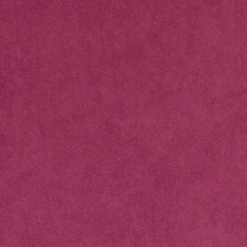 Snug Fuchsia