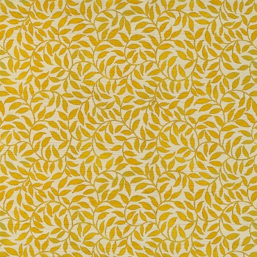 Vite Calendula
