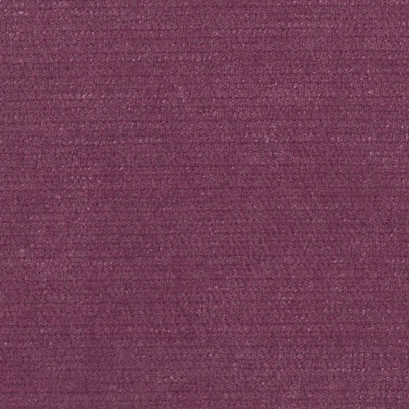 Pimlico Grape