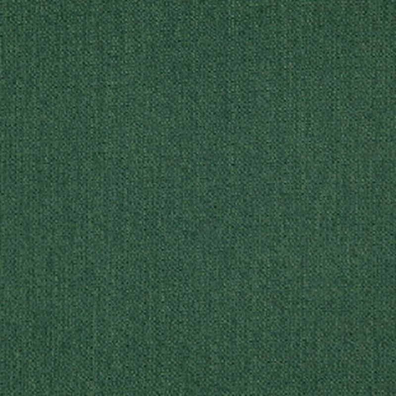 Scribble Conifer