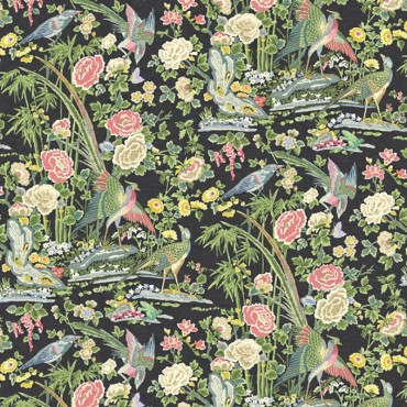 Mandai Bloom