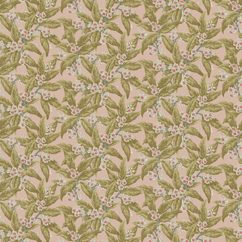 Loseley Velvet Peach