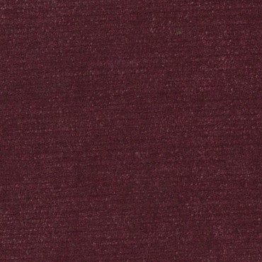 Pimlico Damson