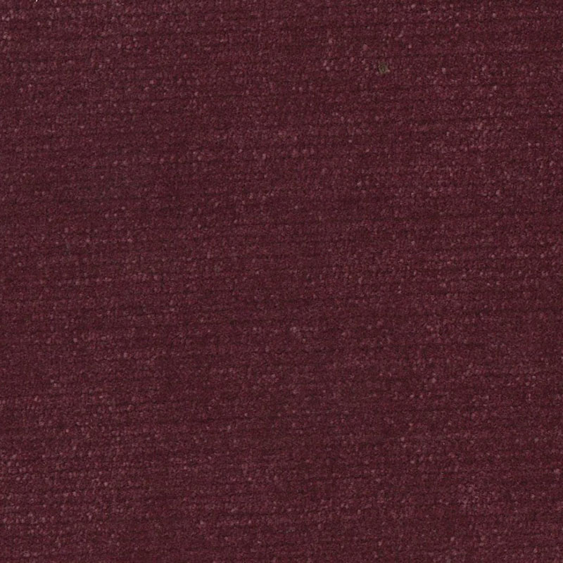 Pimlico Damson