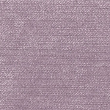 Pimlico Lilac