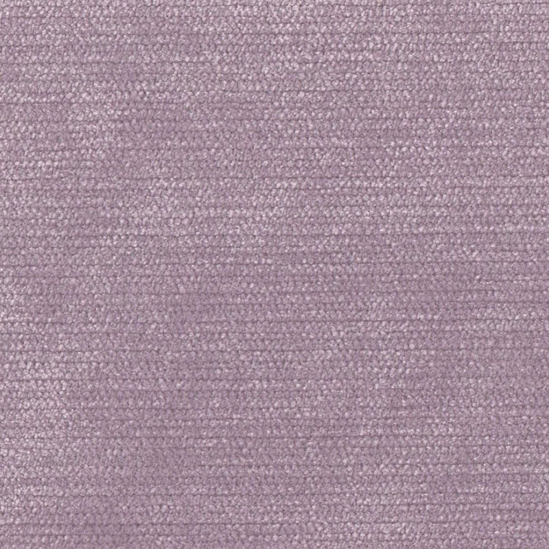 Pimlico Lilac