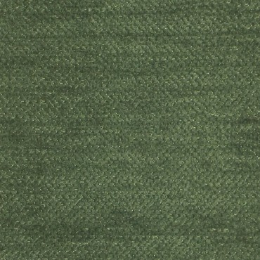 Scala Fern