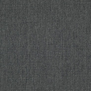 Scribble Coal