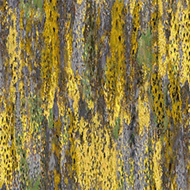 Contemporary Velvet Wister Cool