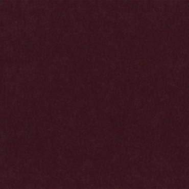 Plush Velvet Burgundy