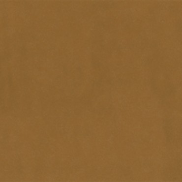 Plush Velvet Caramel