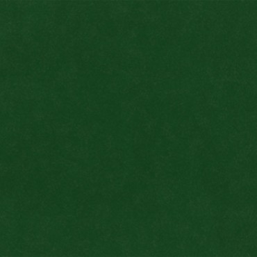 Plush Velvet Evergreen