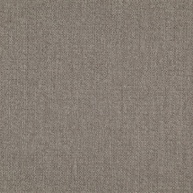 Scribble Pumice