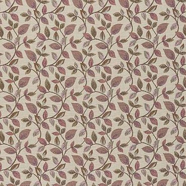 Vercelli Blush